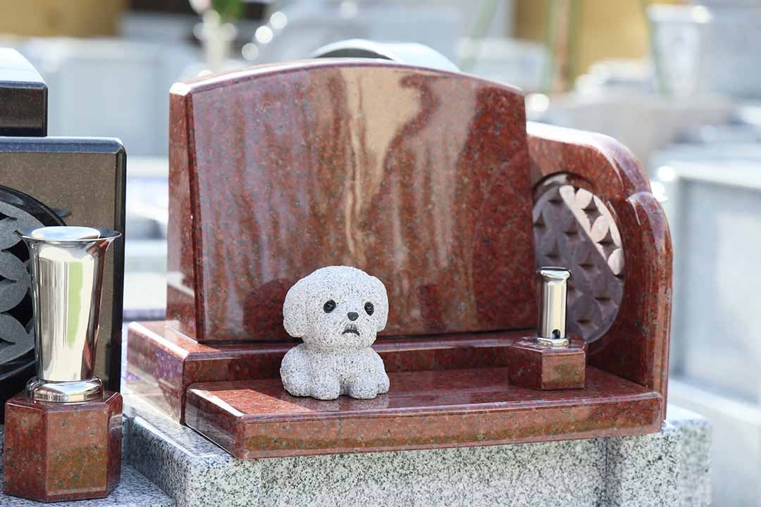 富光寺墓地永代供養さくら樹木葬