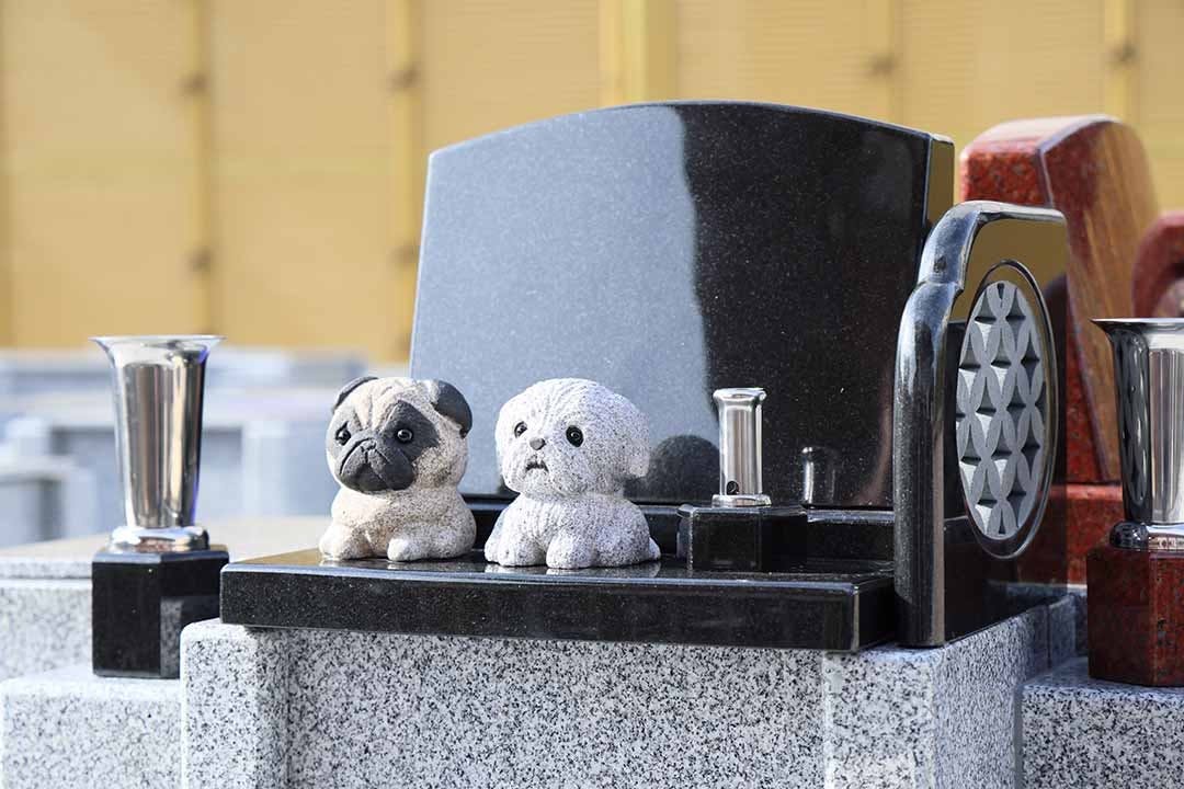 富光寺墓地永代供養さくら樹木葬