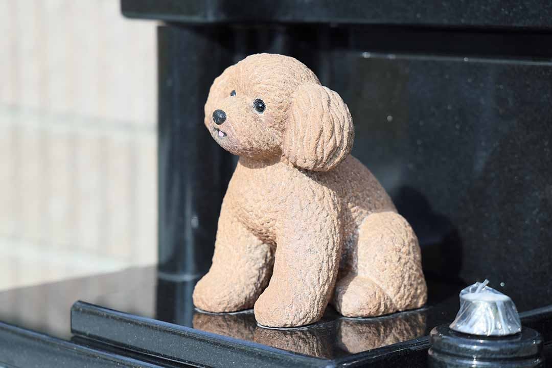 富光寺墓地永代供養さくら樹木葬