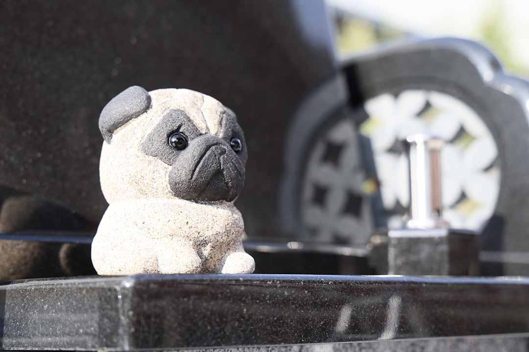 富光寺墓地永代供養さくら樹木葬