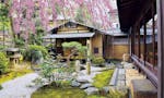 京都永代供養墓・納骨堂霊園 栄春寺 手入れの行き届いた美しい庭