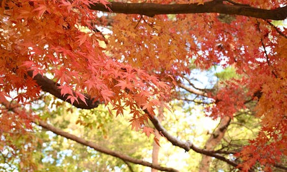 京都永代供養墓・納骨堂霊園 栄春寺