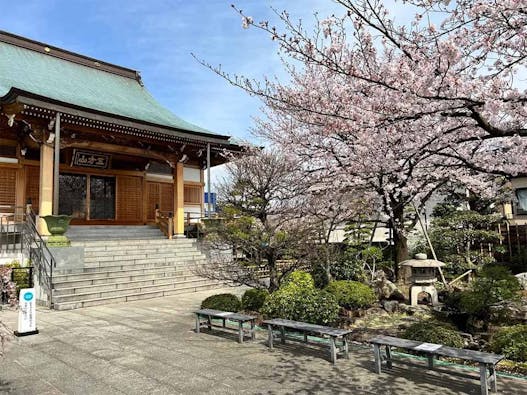 樹木葬 わすれなぐさ