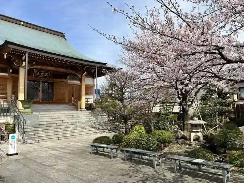 樹木葬 わすれなぐさ