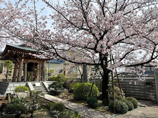 樹木葬 わすれなぐさ