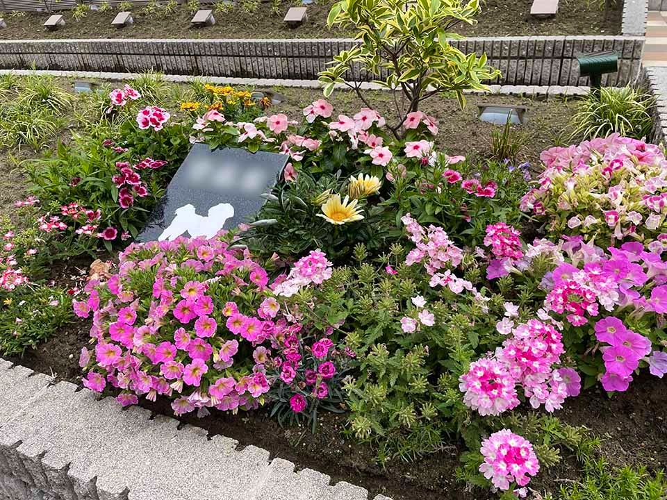 樹木葬 わすれなぐさ