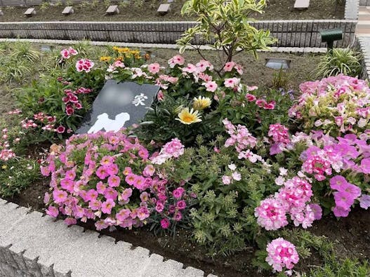 樹木葬 わすれなぐさ