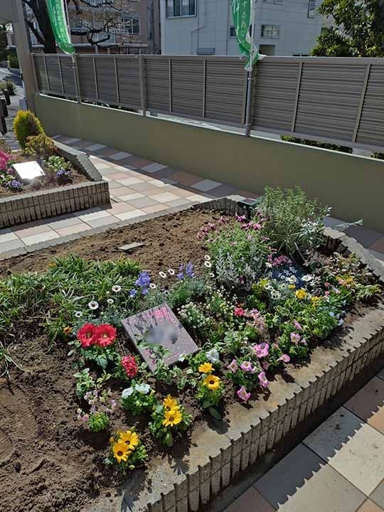 樹木葬 わすれなぐさ