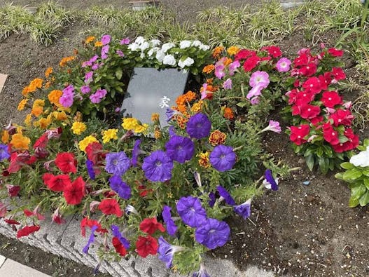 樹木葬 わすれなぐさ