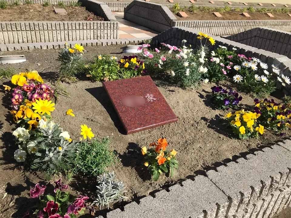 樹木葬 わすれなぐさ