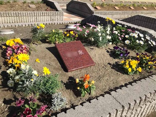 樹木葬 わすれなぐさ