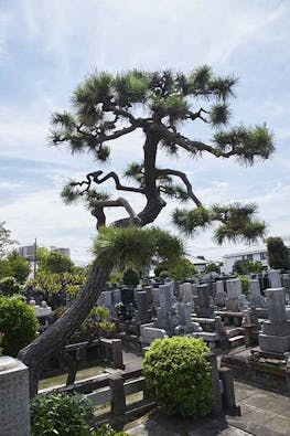 永代供養樹木葬 ザ・ガーデン七辻