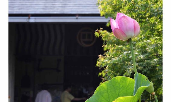 津市永代供養墓霊園 四天王寺