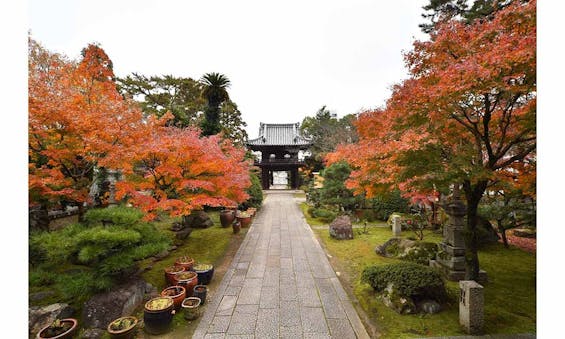 津市永代供養墓霊園 四天王寺