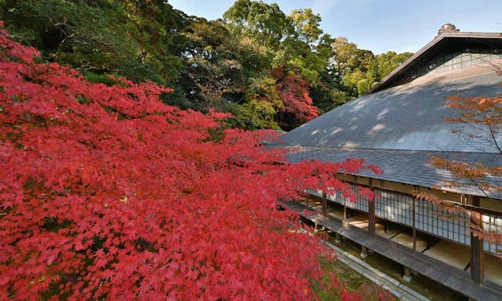 津市永代供養墓霊園 四天王寺