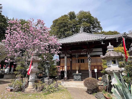 龍昌院 のうこつぼ