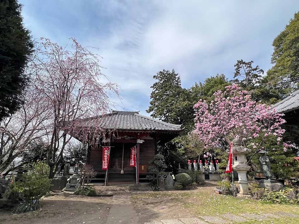 龍昌院 のうこつぼ