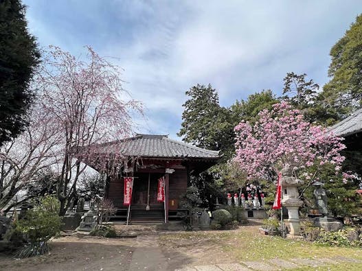 龍昌院 のうこつぼ