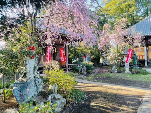 龍昌院 のうこつぼ