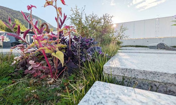 リバーサイドメモリー錦帯橋