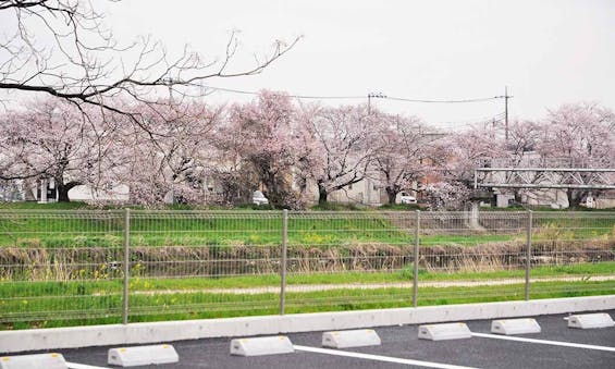 蓮田聖地霊園