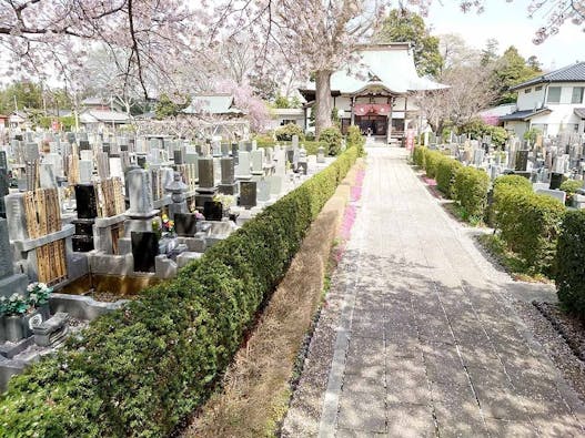 大洞院 永代供養墓・一般墓