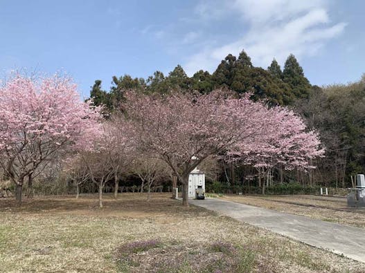 古河さくらの郷 樹木葬墓地