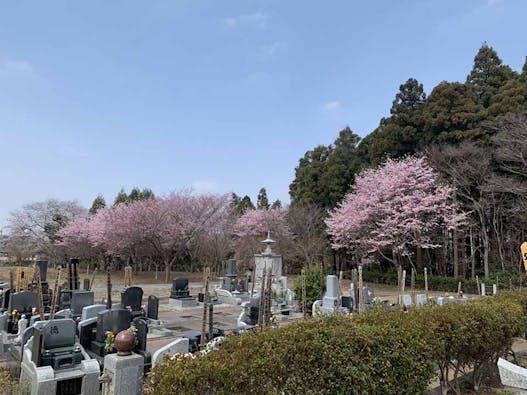 古河さくらの郷 樹木葬墓地