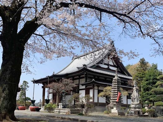 古河さくらの郷 樹木葬墓地