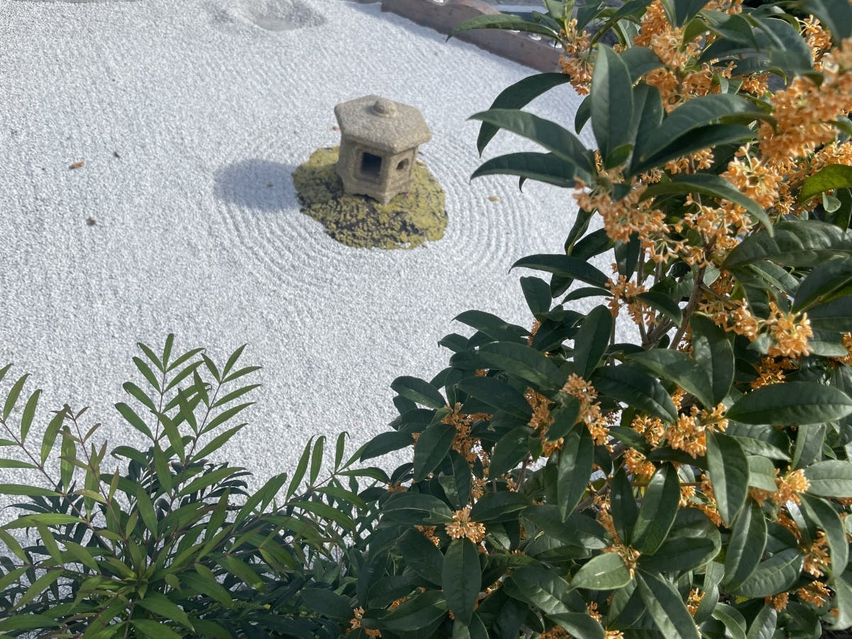 樹木葬「わごころ」 白金こもれびの杜