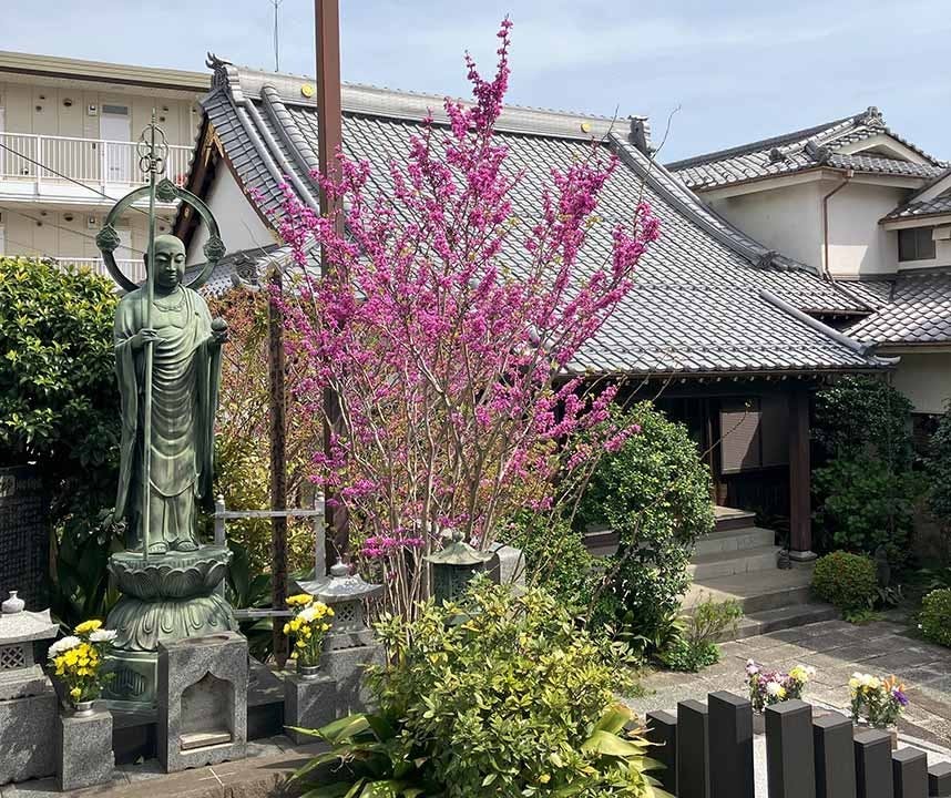 樹木葬「わごころ」 白金こもれびの杜