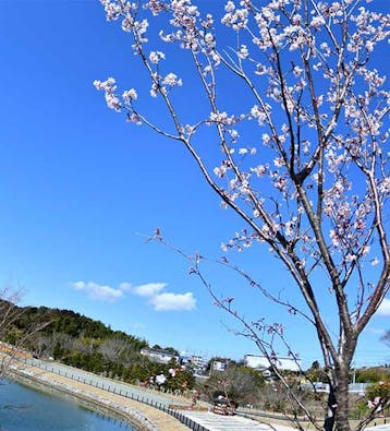 はままつ悠久の杜