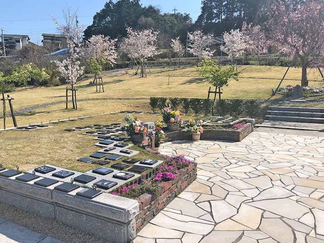 桜葬墓園 樹木葬