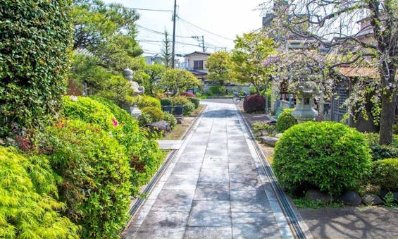 金剛院 永代供養墓・樹木葬