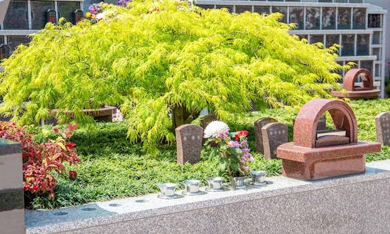 金剛院 永代供養墓・樹木葬