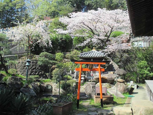 横浜市 青葉区 樹木葬永久の郷