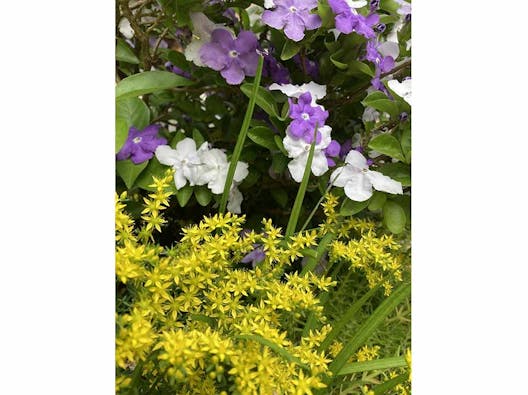 璉珹寺 永代供養墓