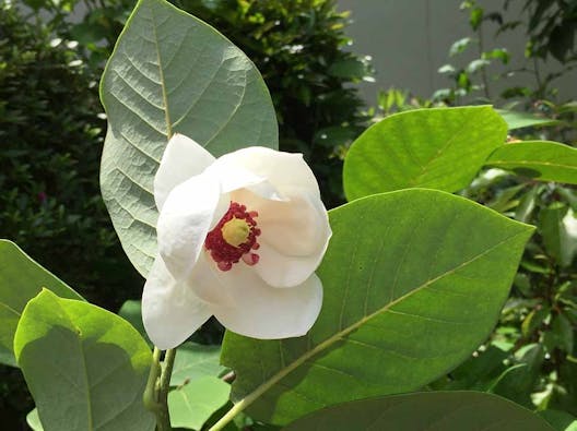 璉珹寺 永代供養墓