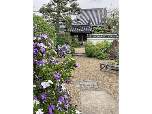 璉珹寺 永代供養墓