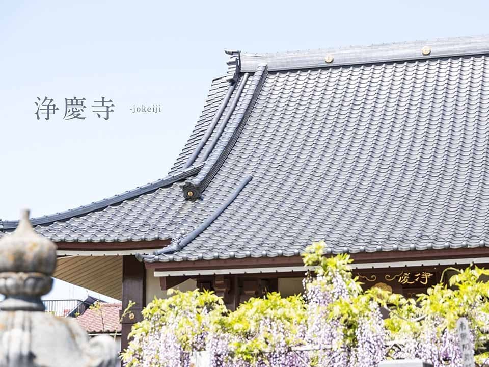 徳音山 浄慶寺の画像