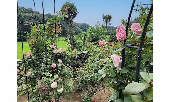 つくば・かすみがうらメモリアルパーク