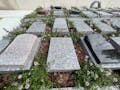 新横浜令和の杜 【プレート墓地】ガーデニングタイプのプレート墓です