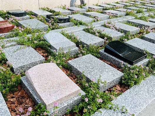 新横浜令和の杜