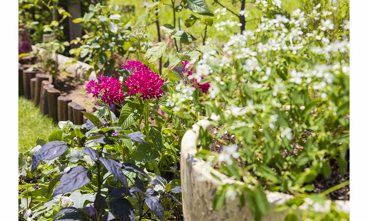 大牟田通玄寺納骨堂 サンガーデン