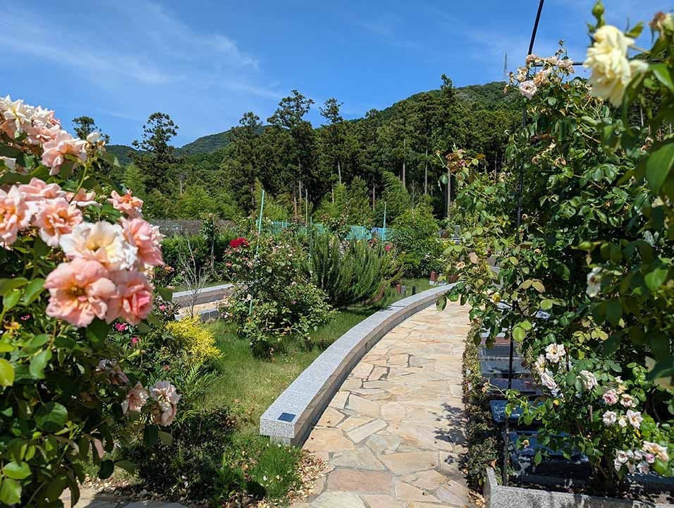 黒崎小嶺霊園 ガーデニング樹木葬(北九州市八幡西区)の費用・販売中