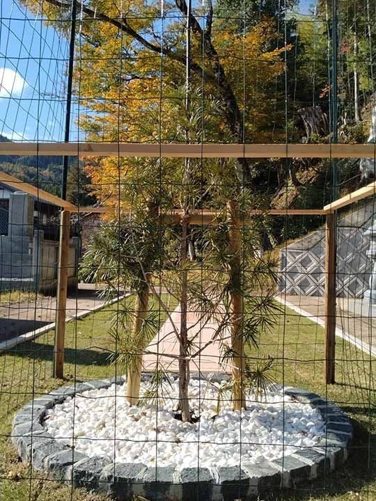 禅定寺納骨堂・樹木葬