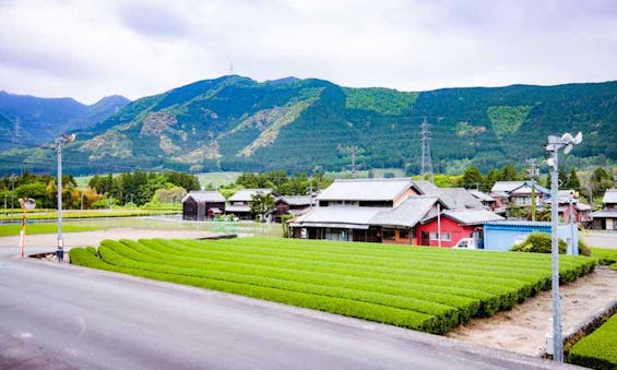 偲墓 安城山 正東寺