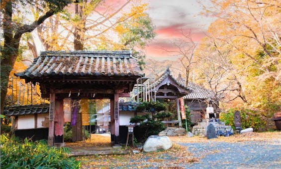 偲墓 金剛座寺