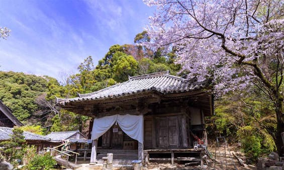 偲墓 金剛座寺