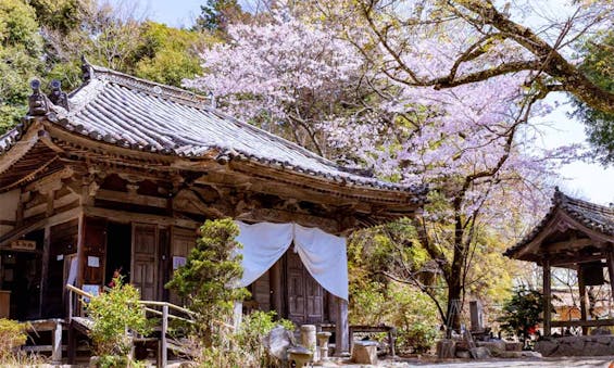 偲墓 金剛座寺